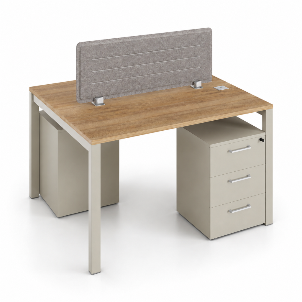 Axes Plus WOrkstation 01 (2)
