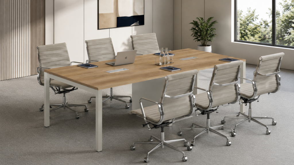 Axess Plus Meeting 11